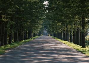 信頼性抜群の広島の探偵事務所｜迅速かつ確実な調査結果の証拠収集に自信あり！